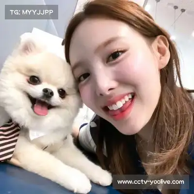 史奕